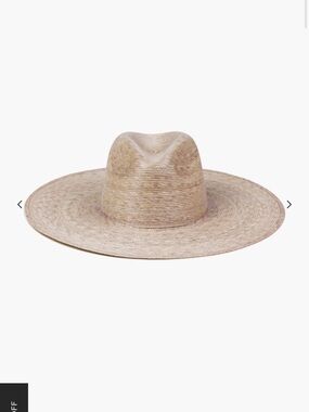 NWOT Lack of Color Palma Wide Fedora
